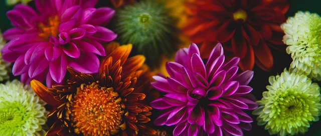 太阳VS雄鹿明日对决前瞻：状态、交锋与胜负预测.