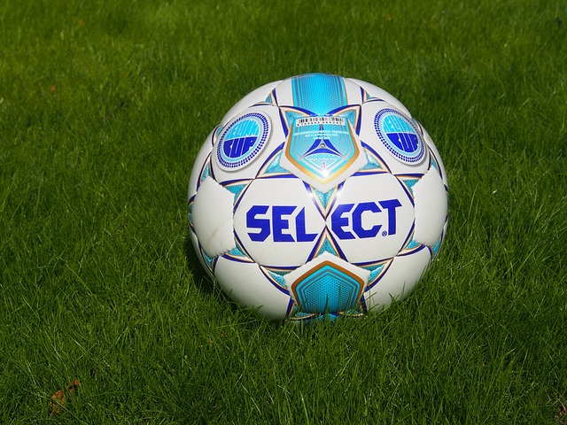 的庆祝动作 的庆祝动作