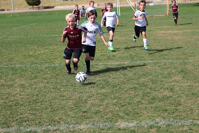 一处重要的 一处重要的