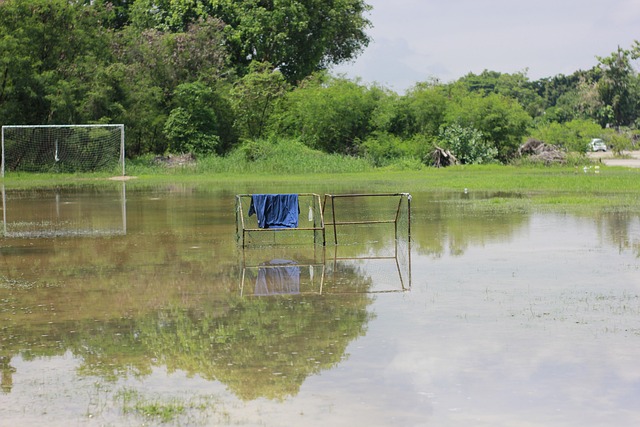 实力分析 实力分析