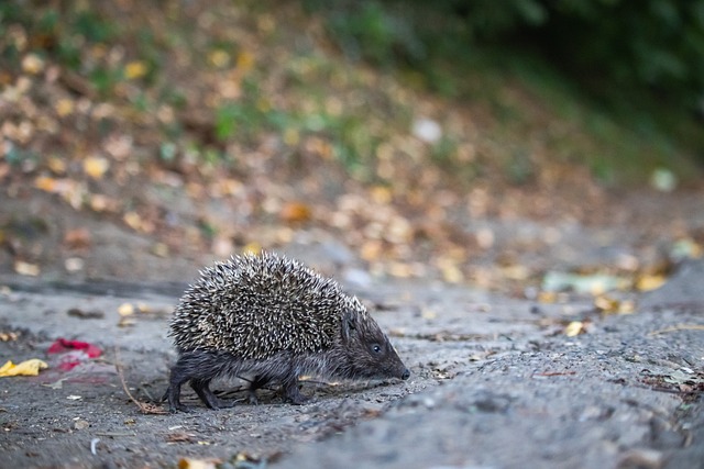 因材施教 因材施教