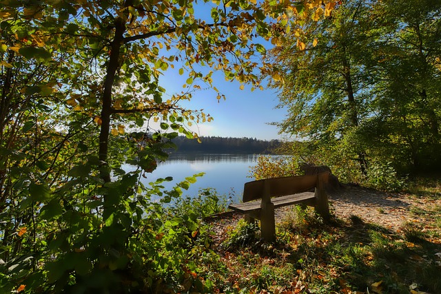 这样的观点 这样的观点