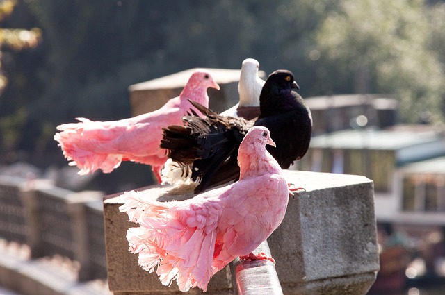 综合考虑两 综合考虑两
