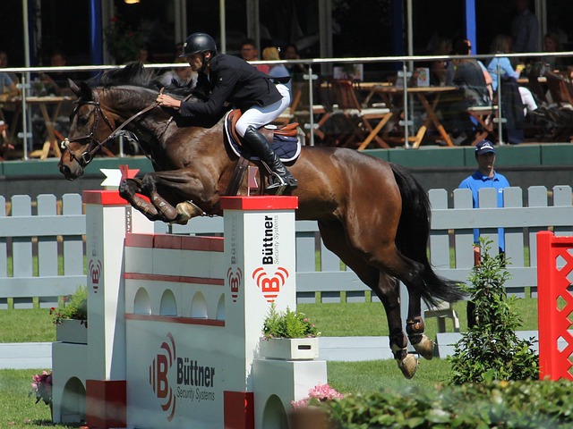 让我们共同 让我们共同