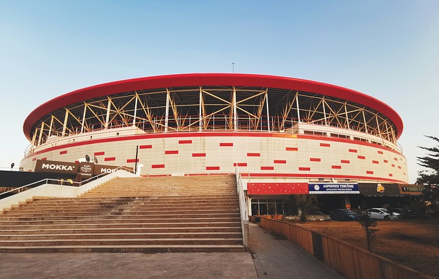 了比賽規則 了比賽規則