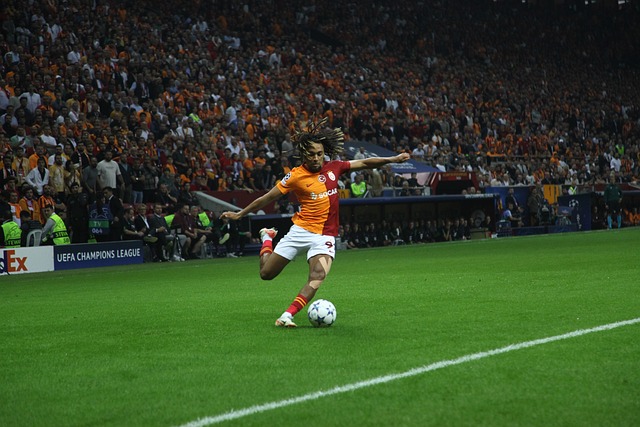 秀中的亮點 秀中的亮點